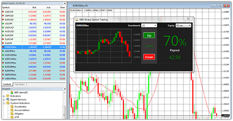 Binary options software developers