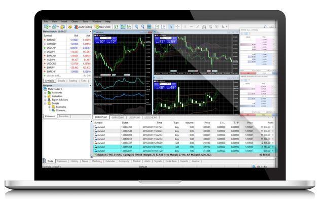 MT4 and another trading platforms  Trader Terminal